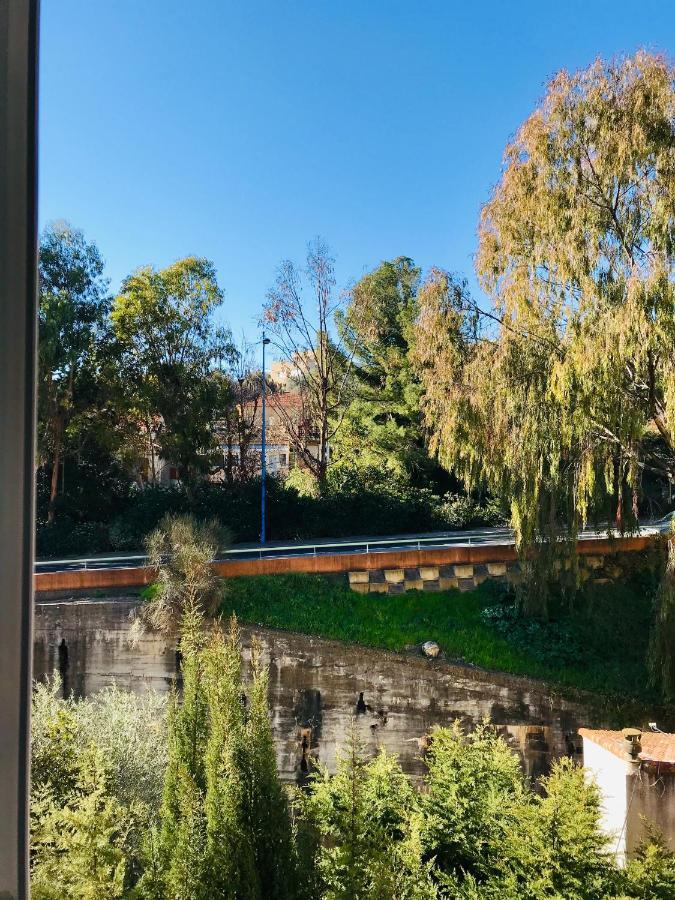 Appartement Paloma Proche Cannes Le Cannet Exteriér fotografie